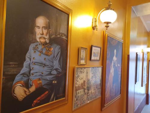 Altwienerhof Hotel - image 12