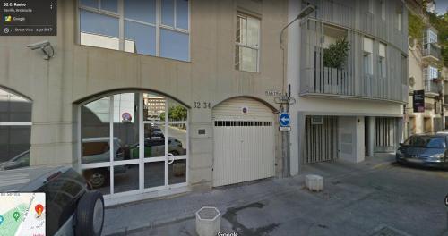 Misterhost san bernardo - image 8