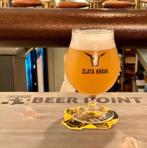 Pension Galko - image 12