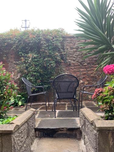 City Garden Apartment - image 12