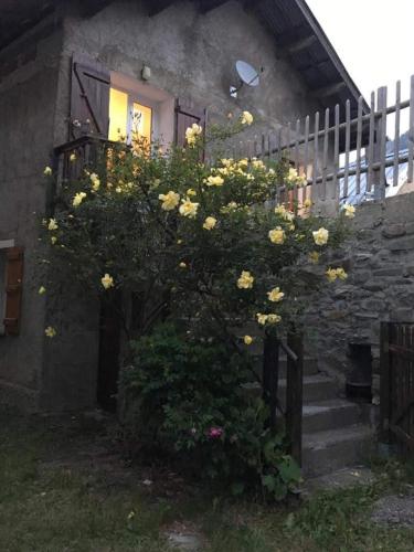 L'instant sauvage gîte à louer La Romeyere