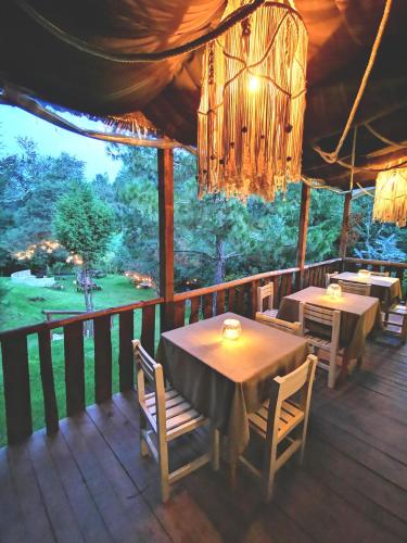 Luchita Mia Eco Cabanas Boutique in Samalayuca