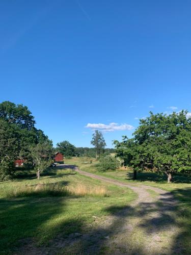 Skats, Stora Ulvebo in Sankt Anna