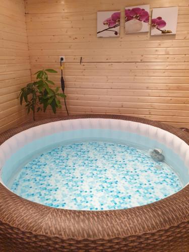 Gesztenye apartman in Úrkút