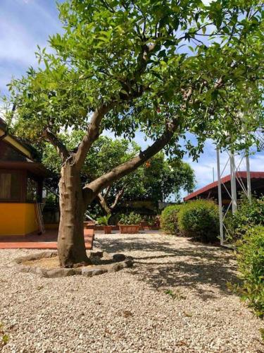 Garden House