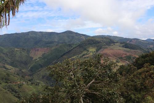 Finca el bosque, Montebello Antioquia