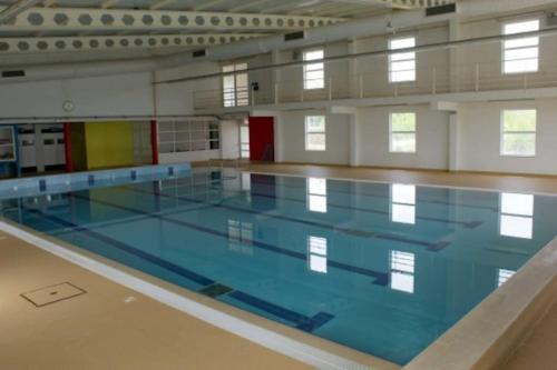 Anjú-Pardal (Anju-Pardal) in Mogadouro