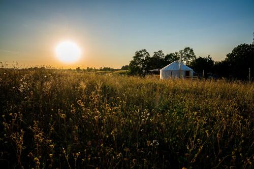 Siedlisko pod Krukiem - Jurta - Accommodation - Suwałki