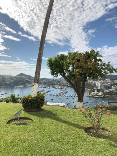 Sierra 2, Acapulco (photo 11)