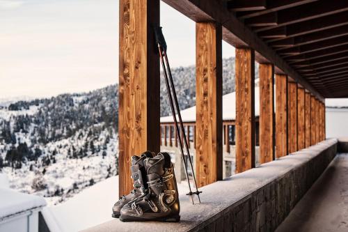324240667 Grand Forest Metsovo - Leading Hotels of the World