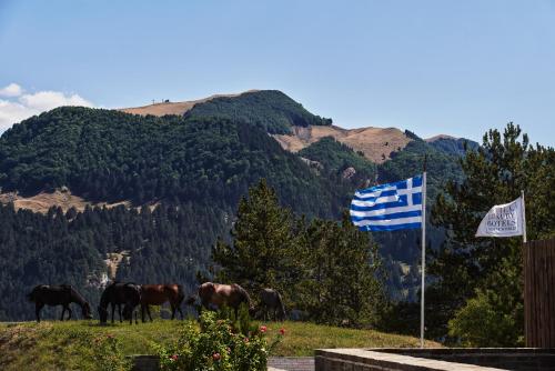 324240728 Grand Forest Metsovo - Leading Hotels of the World
