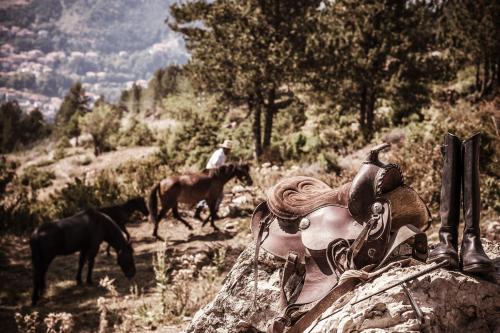 324255769 Grand Forest Metsovo - Leading Hotels of the World