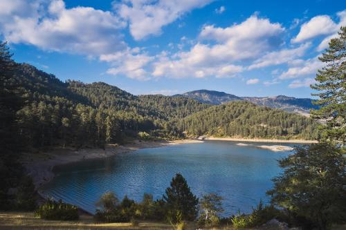 324255774 Grand Forest Metsovo - Leading Hotels of the World