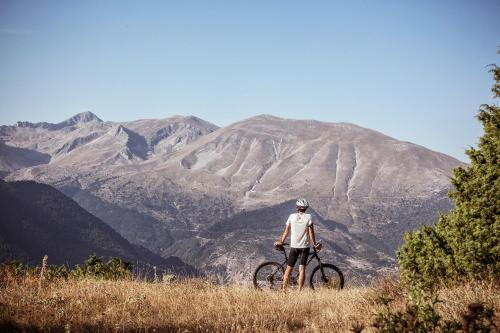 324255780 Grand Forest Metsovo - Leading Hotels of the World