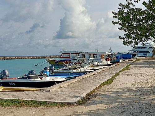 Fins Dive and Leisure Hotel Fins Dive and Leisure Hotel