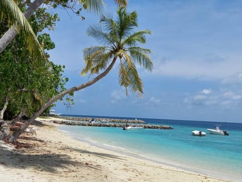 Fins Dive and Leisure Hotel Fins Dive and Leisure Hotel