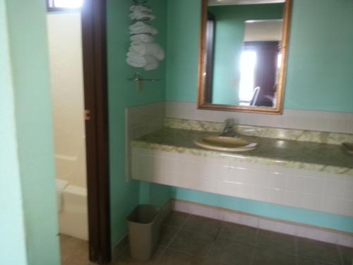 Gray Plaza Motel West Frankfort - 화장실
