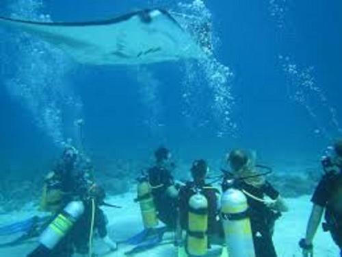 Fins Dive and Leisure Hotel Fins Dive and Leisure Hotel