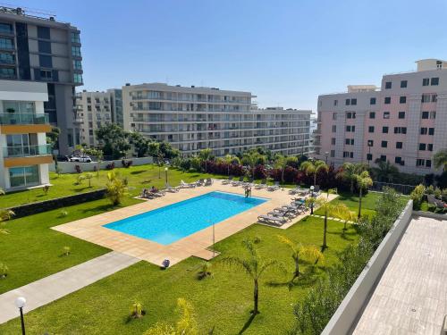 Pool view apartment, Funchal