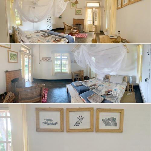 AfricaWildTruck Eco Camp & Lodge – Mulanje