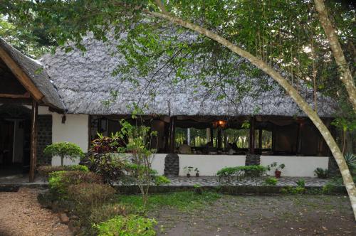 . Ishasha Jungle Lodge