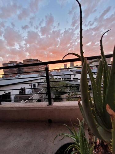 Trendy apartment @ maboneng photo