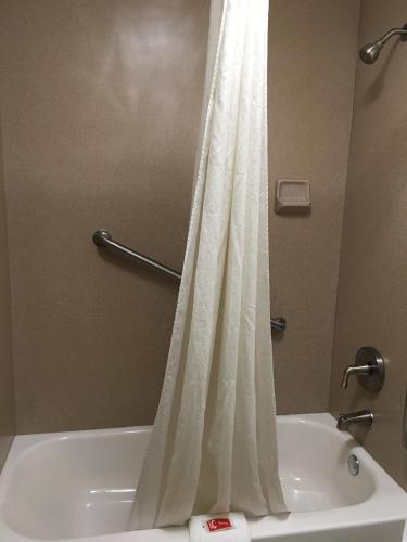 Econo Lodge Marion I-81 - image 10