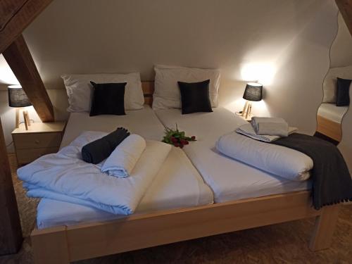 Apartmány Žiaková - ubytování Nové Hrady 111