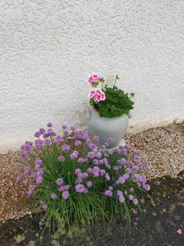 Kert, Au Grés du Vent (Au Gres du Vent) in Ruy-Montceau