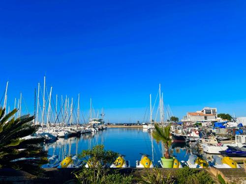 studio la grande roue VUE MAGNIFIQUE in Agde