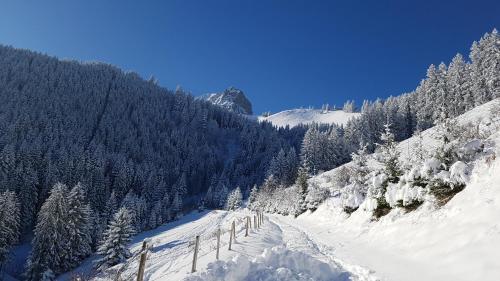Charming chalet with panoramic view and private parking in Gruyère in Greyerz
