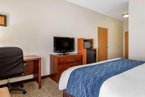 Comfort Inn Kalamazoo - image 10