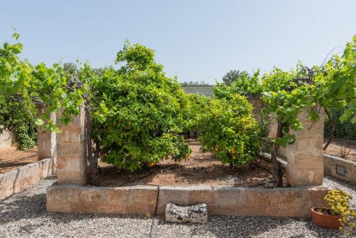 Borgo San Marco - main image