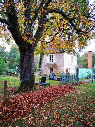 Gite aux bonheurs des ânes gîte à louer Domaine de Chabrot