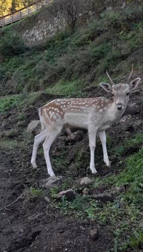 Casa Morgado in โมยเมนตา