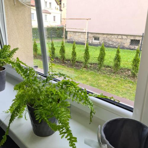 APARTAMENT PRZY RONDZIE