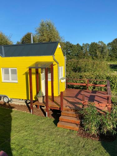 Ferienhaus Tiny Löwenzahn