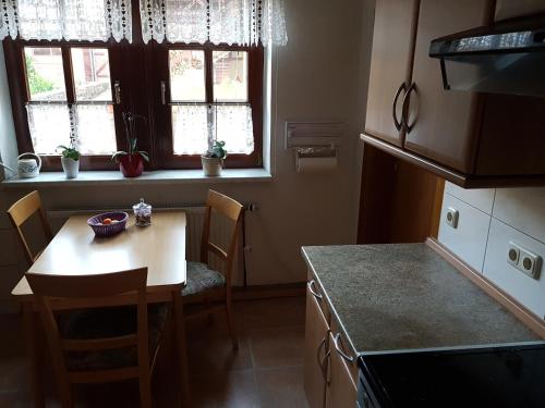 Monteurwohnung Froeschlein 3 in Ilmenau