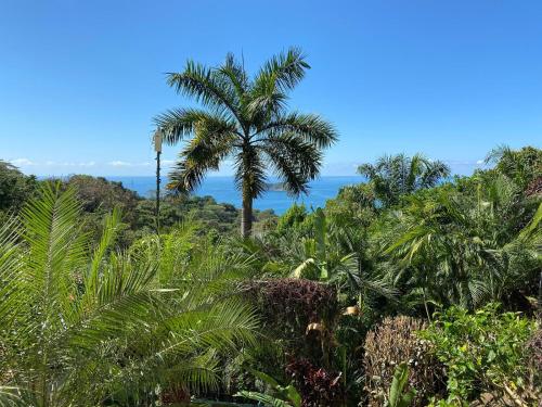 Villa Roca Boutique Resort & Suites - ADULT ONLY - 图片 4