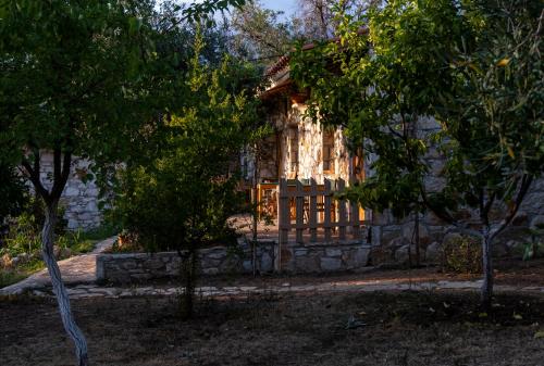 Filoxenia Holiday - image 5