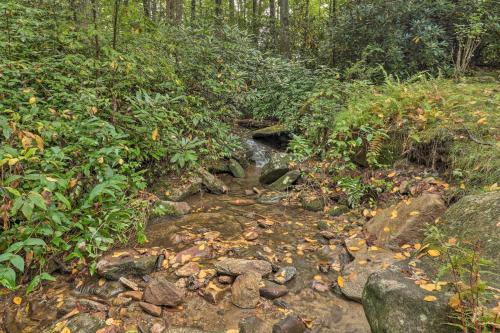 Creekside Mtn Retreat by Waterfalls and Hiking!