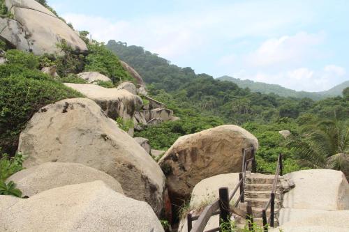 Mirador Dentro del Parque Tayrona