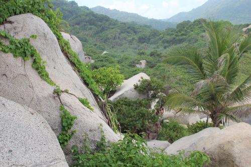 Mirador Dentro del Parque Tayrona