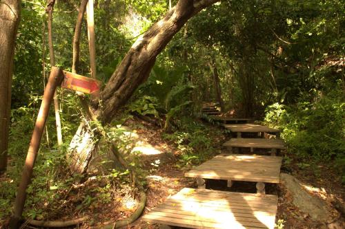 Mirador Dentro del Parque Tayrona