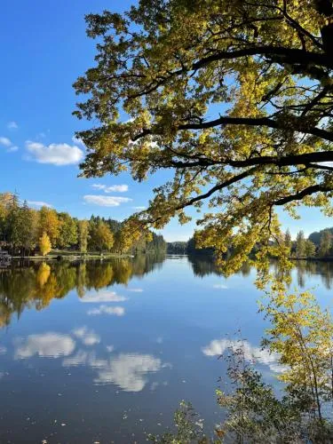 Am Herrensee in Litschau, Österreich