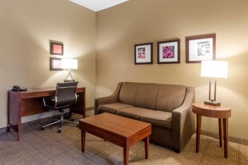 Comfort Inn&Suites Peachtree Corners - Hotel - Norcross