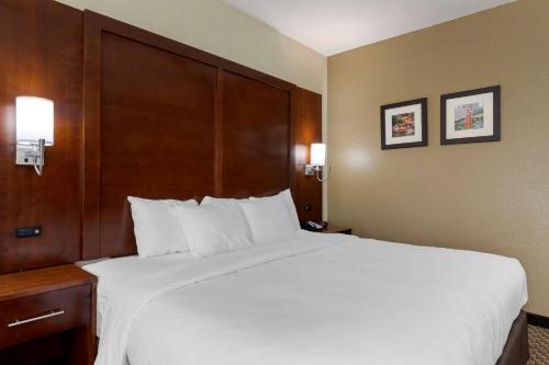 Comfort Inn & Suites Near Six Flags & Medical Center in San Antonio, USA