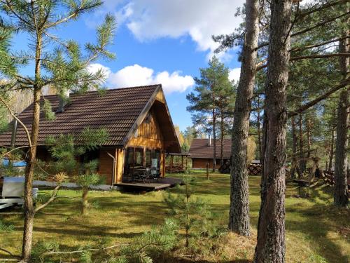 Viesnīcas āriene, Trakų vienkiemis (Traku vienkiemis) in Strūnaičio