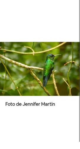 Jardín de Naipí 3 - image 2