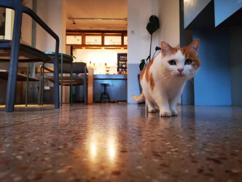 迦家HOME++西安永兴坊店 迦家HOME++西安永兴坊店